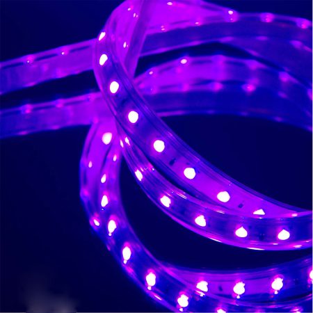 ریسه SMD LED با تراشه ۵۰۵۰ تراکم ۶۰ RGB لوپ لایت -LOOP LIGHT